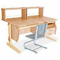 мебель Стол учебный СУТ 17-04-Д2 DAM_17049208