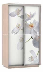 мебель Шкаф-купе Экспресс Фото 2 Белая орхидея
