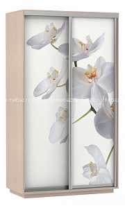 Шкаф-купе Экспресс Фото 2 Белая орхидея