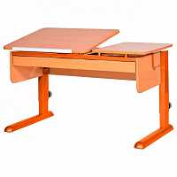 мебель Стол учебный Твин-2 PTG_04719-11