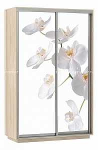Шкаф-купе Экспресс Фото 2 Белая орхидея