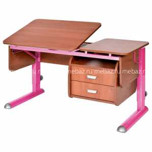 мебель Стол учебный Твин-2 PTG_08057-20
