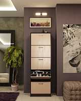 мебель Шкаф для обуви Дженни-5 MAS_MST-ODD-05-R-16VD