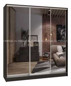 мебель Шкаф-купе Стандарт Зеркало 3 BRN_1025