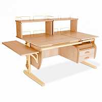 мебель Стол учебный СУТ 17-05-Д2 DAM_17059208