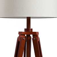 мебель Напольный светильник Vintage Tripod Floor Lamp
