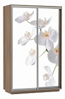 мебель Шкаф-купе Экспресс Фото 2 Белая орхидея